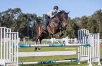 Riders welcomed back to Sydney Showjumping Club