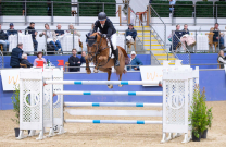 Oaks Cassanova steals the show and our hearts in Waratah World Cup