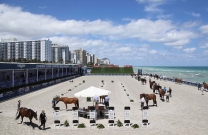 Aussies set to take on the world at Miami Beach