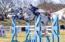Sydney ShowJumping Club jumps into Spring