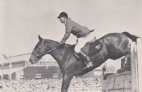 The early days of Trans-Tasman Competition (1953-1959)
