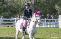 Glorious Comp Day at Sydney Showjumping Club