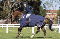 Young Horse Champions Crowned