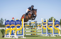 Rhys Stones: An insight into producing horses in Australia