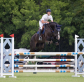 100 Horses Taught Me Technique, One Horse Taught Me Truth