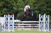 100 Horses Taught Me Technique, One Horse Taught Me Truth