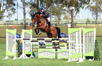 A Life in Horses: Robert Stewart’s Story