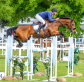 Penultimate World Cup Show for 2023 – Sale