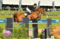 Rowan Willis and Blue Movie set the scene at Major League Show Jumping in Traverse City