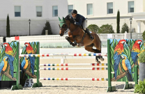 Rowan Willis & Copain are unbeatable in the $10,000 Mini Prix at WEC