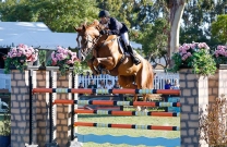 Rowan Willis and Baccus take out the CSI3* at Split Rock