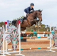 Sally Simmonds: Horses, Heart, and the Long Road Home