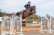 Sally Simmonds: Horses, Heart, and the Long Road Home