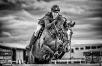 Australia's top riders battle it out at the Boneo Park Cup Show