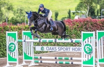 Great competition at the The Oaks pop-up show