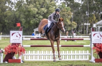 Sienna Sails to Amateur Championship Victory at JNSW Summer Show