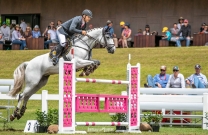 Australian Jumping Horses of 2018 - Blackall Park Penny Lane