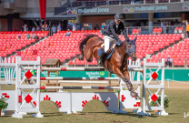 Sydney Royal History - The Bob Chittick Memorial Perpetual Cup