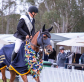 Stuart Jenkins and ‘Fairview Alicana’ – Australian Senior Champions 2023
