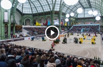 Saut Hermès Grand Prix - Australian Team Videos