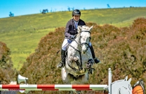Susie Verco takes out Gold Cup at Adelaide Hills Showjumping Spectacular