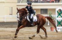 Sydney Maynard does us proud at Taiwan borrowed horse event