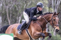 Tom Mc Dermott flies to victory in two big classes on Day 2 of Waratah Showjumping