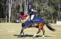 Tom McDermott and Cooley Gangster – NSW State Senior Champions