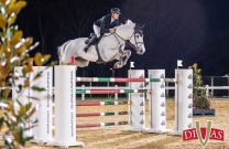 Australian-bred Oaks Ventriloquist selected for FEI World Champs in Aachen