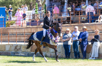 Stonewall Success for Tom McDermott and Cooley Gangster