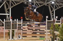 Australian Jumping Horses of 2018 - Vahlinvader