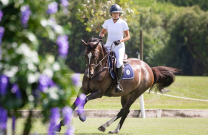 Real Housewives of Sydney Star Victoria Montano shines in Jumping Arena
