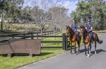 It's a Grooms life - at Yandoo