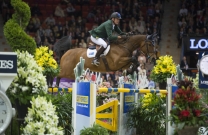 World Cup Star Cristalline Sold to the USA