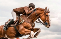 Equestrian Australia Dual Crown Series