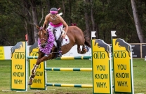 Eventers vs Showjumpers at Wallaby Hill Extravaganza this weekend